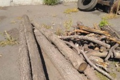 Спиляні дерева породи "Груша" в кількості 1 штука