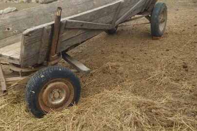 Конфісковане майно за рішенням суду: гужова підвода кустарного виробництва