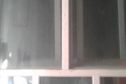 Металопластикові вікна у кількості 21 шт. різного розміру