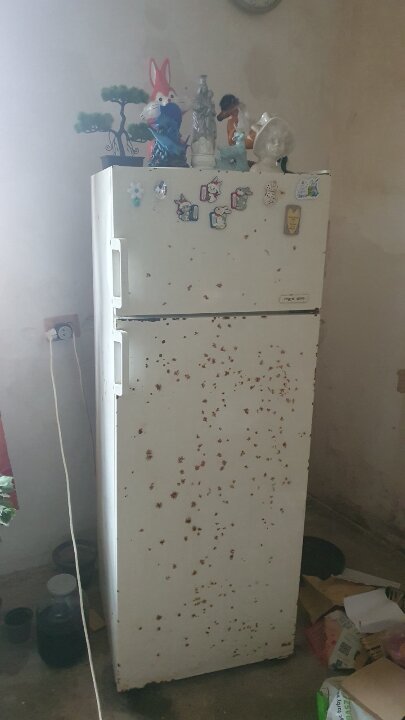 Холодильник марки REX, білого кольору в неробочому стані