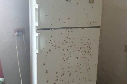 Холодильник марки REX, білого кольору в неробочому стані