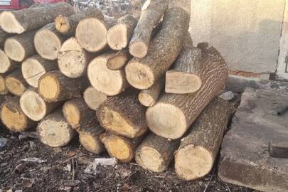 Конфісковане майно за рішенням суду: колоди дерев породи "дуб" загальним об'ємом 1,7 метра кубічних