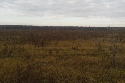 ІПОТЕКА. Земельна ділянка, загальною  площею 14.0534 га, кадастровий номер 3222755102:02:015:0002, що знаходиться за адресою: Київська область, Макарівський район, Макарівська  селищна рада