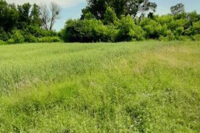 Земельна ділянка, загальною площею 0.2500 га, кадастровий номер 3221485401:01:042:0016, що знаходиться за адресою: Київська обл., Васильківський р-н, с. Мар'янівка