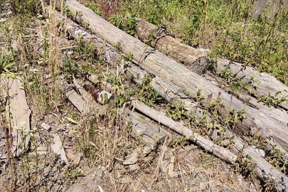 Конфіскація майна за рішенням суду: лісопродукція у вигляді двох колод деревини породи «Ялиця» загальною кубомасою 1.07 м. куб