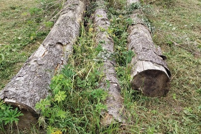 Конфіскація майна за рішенням суду: лісопродукція у вигляді трьох колод деревини, а саме: «Ялиця» загальною кубомасою 1.43 м. куб.