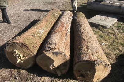 Конфіскація майна за рішенням суду: три стовбури дерев породи «Дуб», довжиною 2.50 м кожна та діаметром 40 см кожна