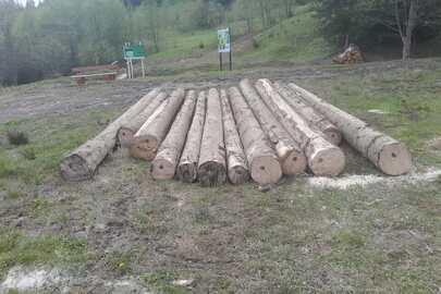 Конфісковане майно за рішенням суду:14(чотирнадцять)хлистів зрубаних дерев породи ялина європейська загальною кубомасою 7,79 м3.