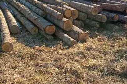 Конфісковане майно за рішенням суду: ліс кругляк хвойної породи в кількості 35 (тридцять п'ять) колод загальною кубомасою 5,27 м3.