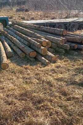 Конфісковане майно за рішенням суду: ліс кругляк хвойної породи в кількості 35 (тридцять п'ять) колод загальною кубомасою 5,27 м3.