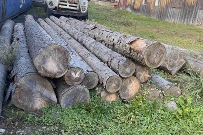 Конфісковане майно за рішенням суду: 22 колоди дерев хвойної породи загальною кубомасою 6,612 м3