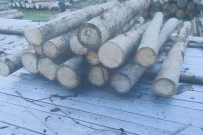П'ятнадцять сортиментів деревини, що дорівнює 4,365 м.куб. дерев'яної продукції