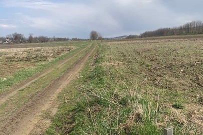 Предмет іпотеки. Земельна ділянка площею 0,1009  га, КН 7320781300:01:002:0256, за адресою: Чернівецька обл., Герцаївський р-н, с.Горбова