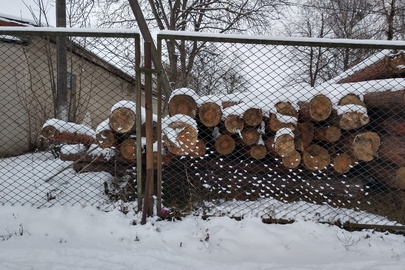 Напиляні колоди деревини породи "сосна звичайна" у кількості 39 шт. загальним об'ємом 9,880 куб.м.