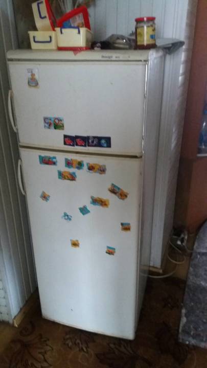 Холодильник з морозильною камерою марки Snaige