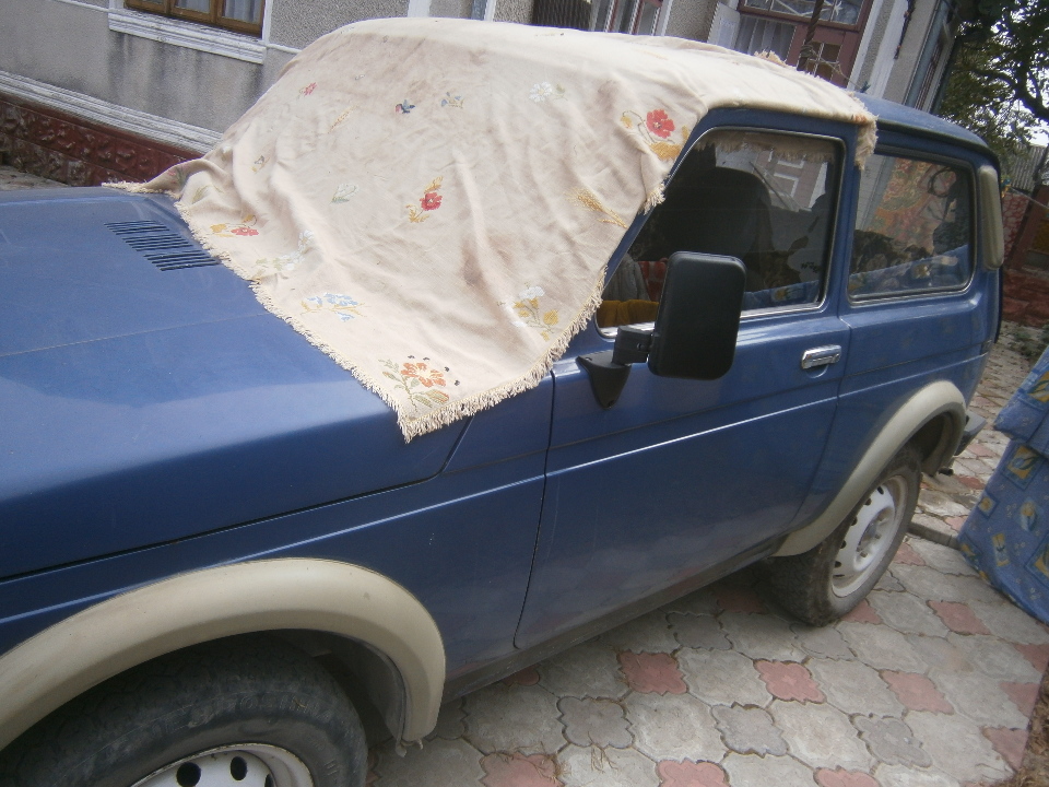 1/2 частка автомобіля марки ВАЗ -21213, ДНЗ ВО6202АВ, синього кольору, 2005 року випуску, кузов №ХТА21213651780220