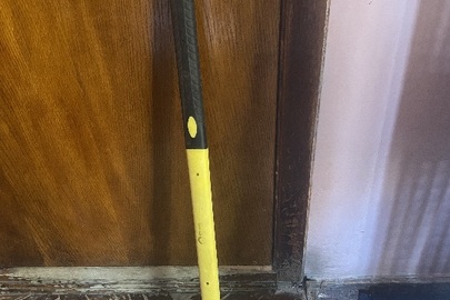 Конфіскація майна за рішенням суду: сокира, 1 шт., б/в