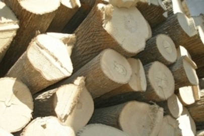 Конфіскація майна за рішенням суду: дров'яна деревина породи «клен» об’ємом 4 м.куб. та 4 спили пеньків