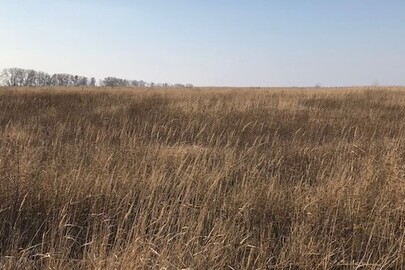 ІПОТЕКА: Земельна ділянка з кадастровим номером 3222485800:03:001:5085, площею 1.6950 га, яка розташована за адресою: Київська область, Києво-Святошинський р-н., с. Святопетрівське