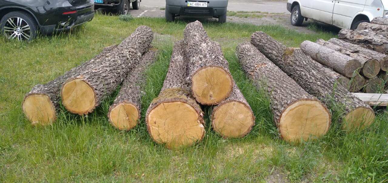 Деревина - колоди породи дуб, загальною кубомасою 1,8 куб.