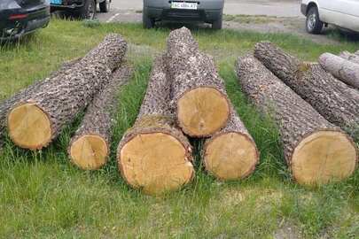 Деревина - колоди породи дуб, загальною кубомасою 1,8 куб.