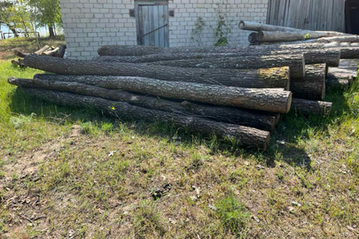 Конфісковане майно за рішенням суду: деревина породи вільха у кількості 22 колоди 
