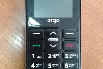 Конфісковане майно за рішенням суду: мобільний телефон марки «Ergo» IMEI 1: 355504100377797, IMEI 2: 355504100377805, б/в