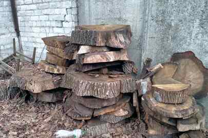 Зрізи пнів та частин стовбурів дерев, уламків деревини в загальній кількості 23 штуки
