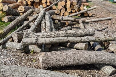 Деревина дров'яна - колоди дерев породи "Вільха" загальною кубомасою 5,6 м.куб. та 11 зрізів з пнів дерев породи "Вільха"