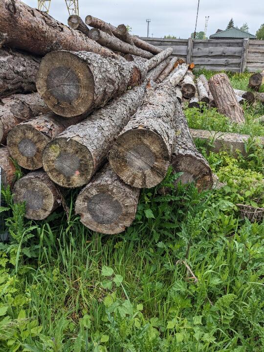 Деревина дров