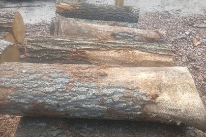 Колоди дерева породи дуб - 26 шт., довжиною 1 м. кожне, та породи граб - 1 шт. довжиною 1 м.