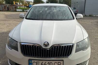 Автомобіль марки SKODA, модель: SUPERB, категорія: легковий, рік виробництва: 2013, VIN: TMBAB43T4EB300471, номер кузова: TMBAB43T4EB300471, номерний знак: CE6610CP, колір: білий