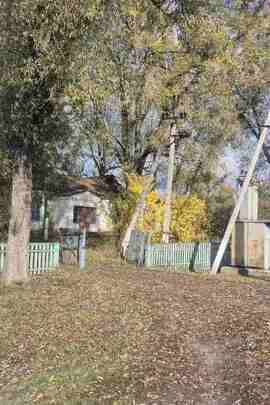 Нежитлова будівля А-1, загальною площею 230,9 кв. м., що знаходиться за адресою: Чернігівська область, Коропський район, смт. Понорниця, вул. Довженка, 9 2