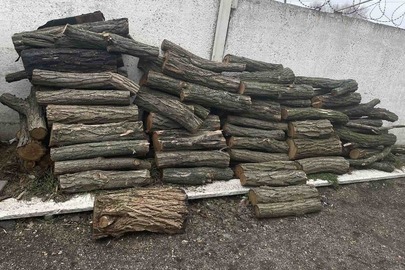 Конфісковане майно за рішенням суду: пиляні колоди дерев в кількості 64 штуки