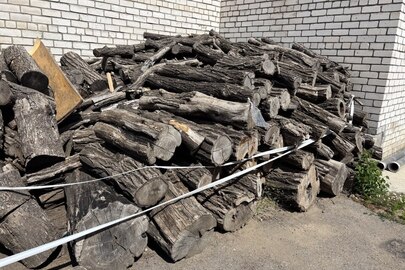 Конфісковане за виконавчим листом: частини стовбура дерева породи "Акація" та породи "Дуб" у кількості 103 штуки різного діаметру та довжини