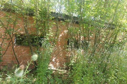 Пилорама, РНМ: 13964400, адреса: Чернігівська обл., Прилуцький р-н, с. Дідівці, провул. Костомарова, 1/1