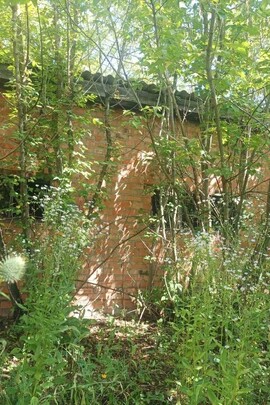 Пилорама, РНМ: 13964400, адреса: Чернігівська обл., Прилуцький р-н, с. Дідівці, провул. Костомарова, 1/1