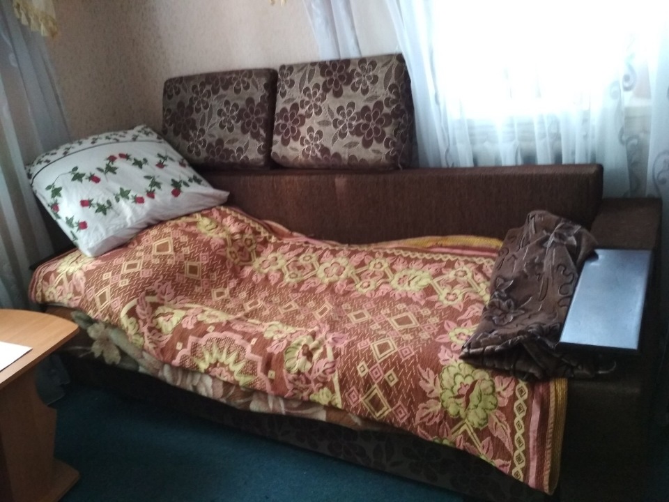 Розкладний диван, коричневого кольору