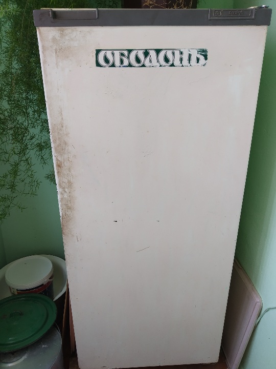 Холодильник Snaige, білого кольору, в робочому стані