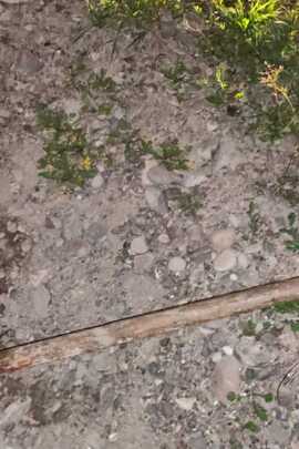 Конфісковане майно за вироком суду: лопата штикова з дерев'яним держаком, б/в