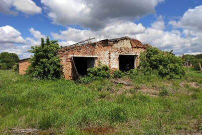 Нежитлова будівля, телятник (позначений на плані літерами К-1, к-1, к1-1, к3-1, к4-1, к5-1), загальною площею 1202,1 кв.м, що розташований за адресою: Чернігівська обл., Ріпкинський р-н, с. Грабів, вулиця Шевченка, будинок 12к