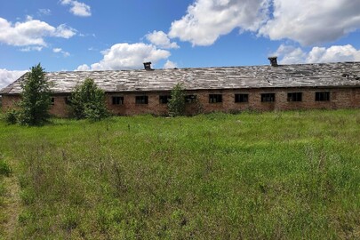 Нежитлова будівля, свинарник (позначений на плані літерами З-1), загальною площею 737,8 кв.м, що розташований за адресою: Чернігівська обл., Ріпкинський р-н, с. Грабів, вулиця Шевченка, будинок 12з