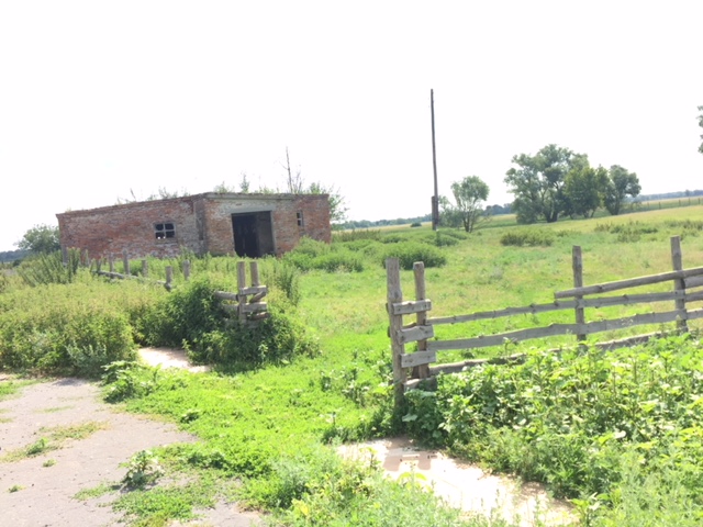 Комплекс нежитлових будівель і споруд свиноферми, загальною площею 1235.3 кв. м., який розташований за адресою: Чернігівська область, Козелецький район, с. Лутава, вул. Пролетарська, 32-А