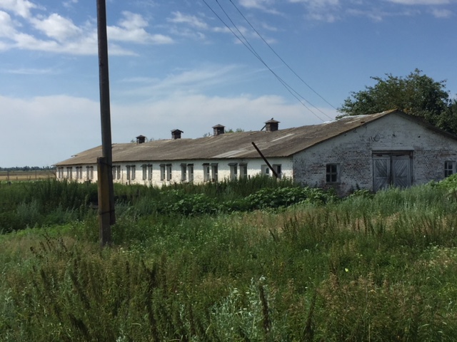 Комплекс нежитлових будівель і споруд молочно-тваринної ферми, загальною площею 4261.2 кв. м., який розташований за адресою: Чернігівська область, Козелецький район, с. Лутава, вул. Жовтнева, 43-А