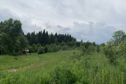 Земельна ділянка площею 0,2525 га КН 7320583000:03:001:0125 за адресою: Чернівецька обл., Вижницький р-он, с.Карапчів