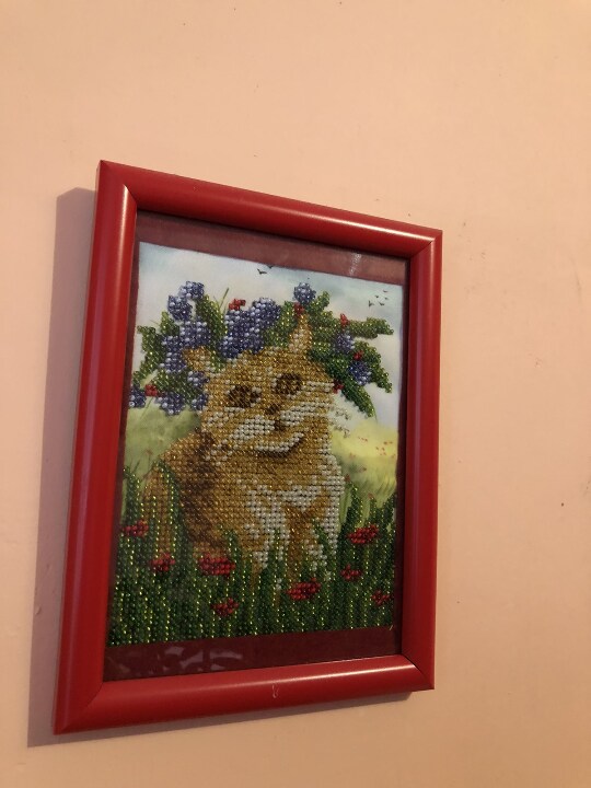 Картина із зображенням кота (бісер) , червона рамка