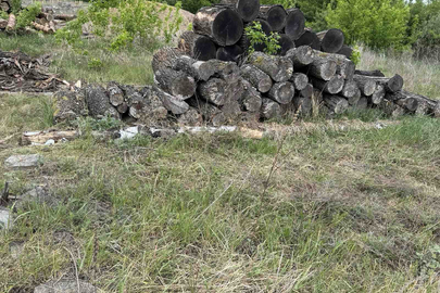 Конфісковане майно за рішенням суду: деревина породи вільха, загальною кубомасою 2,34 м.куб.