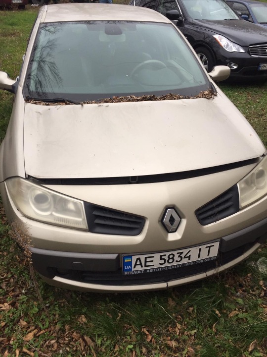 Легковий автомобіль марки RENAULT модель MEGANE, 2006 р.в., державний номер АЕ5834IT, VIN: VF1LMB50635525955, колір бежевий