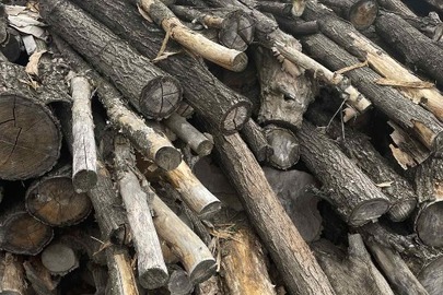 Конфіскація майна за рішенням суду: колоди дерев породи "акація біла" в кількості 144 шт. різної довжини та діаметру