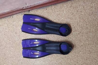 Конфісковане майно за рішенням суду :карімат - 1 шт., ласти для плавання - 1 шт. б/в